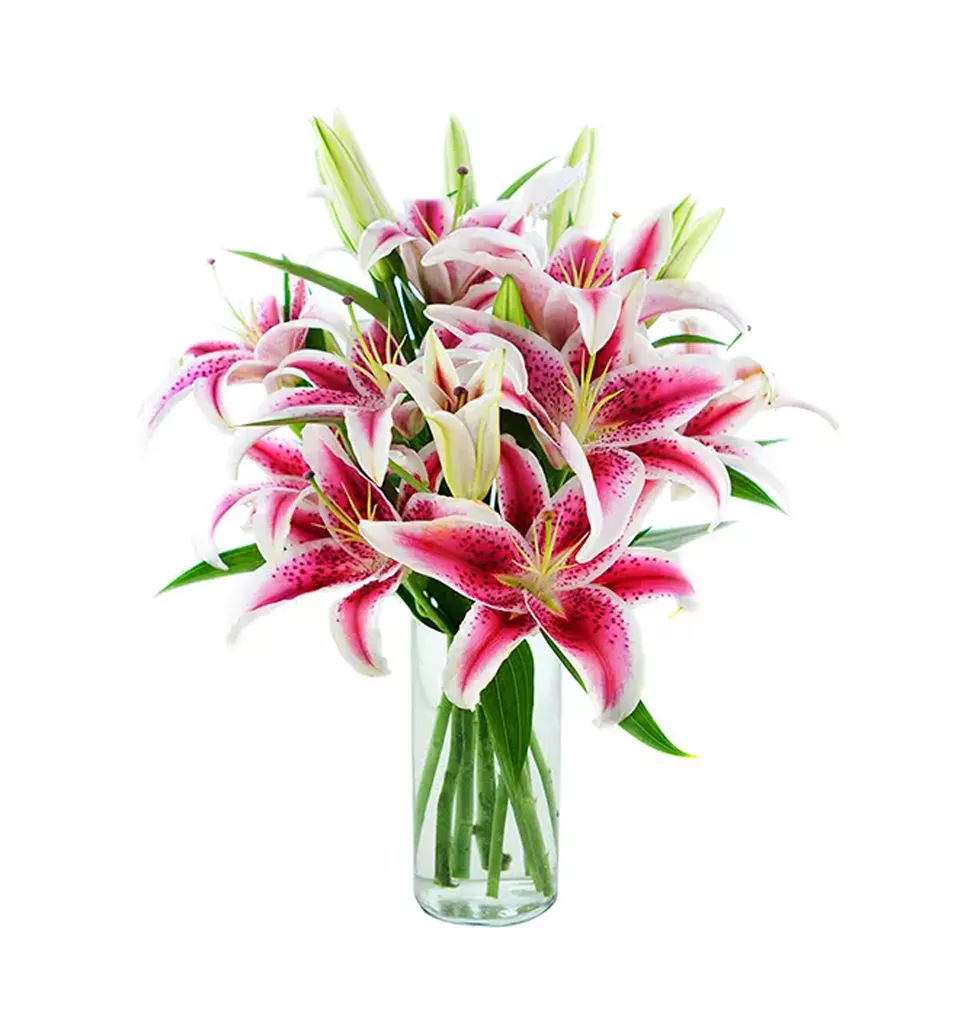 Radiant Star Gazer Bouquet